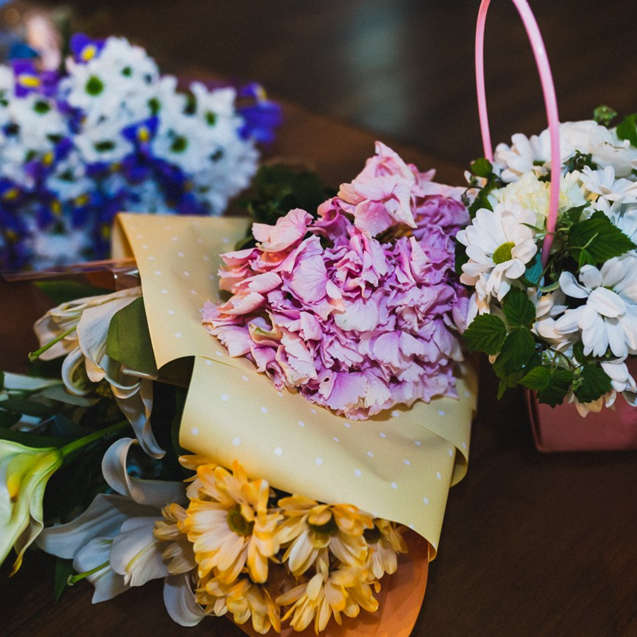 Бизон и валя. Фотограф Ольга Нестерова СПБ и т. д