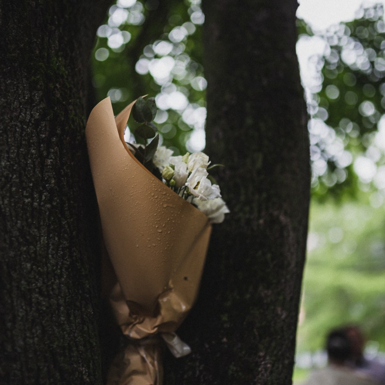 Мурино существует. Фотограф Ольга Нестерова СПБ и т. д