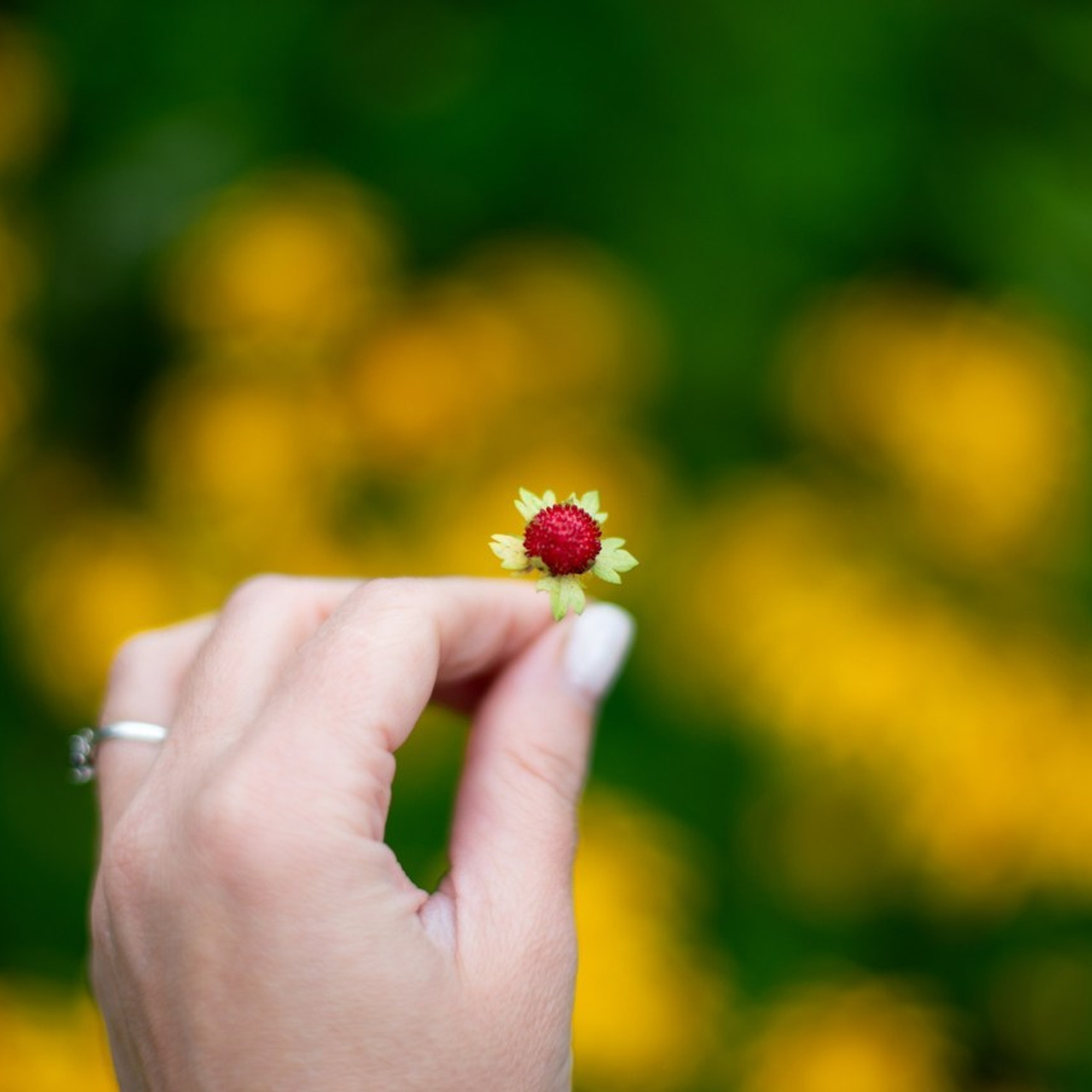 Отзывы. Victoria Radjevna Репортажный Фотограф — Видеограф Москва • Санкт-Петербург