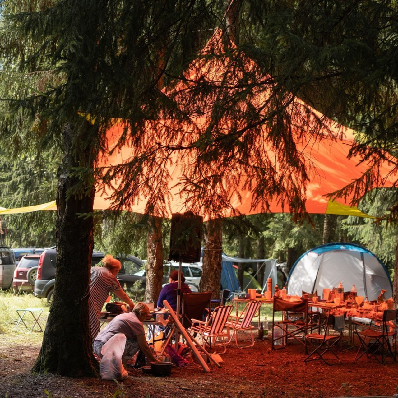 Отзывы. Фотограф Ирина Платицына. Брянск, Дятьково