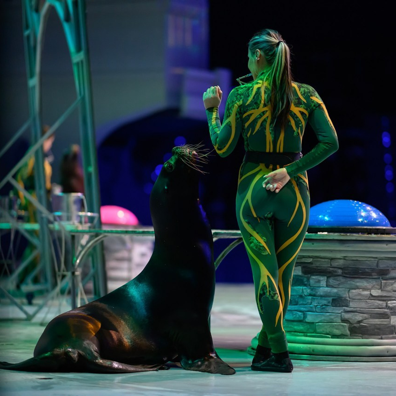 Testimonials. Destination Portrait and Wedding photographer Philip Butkin