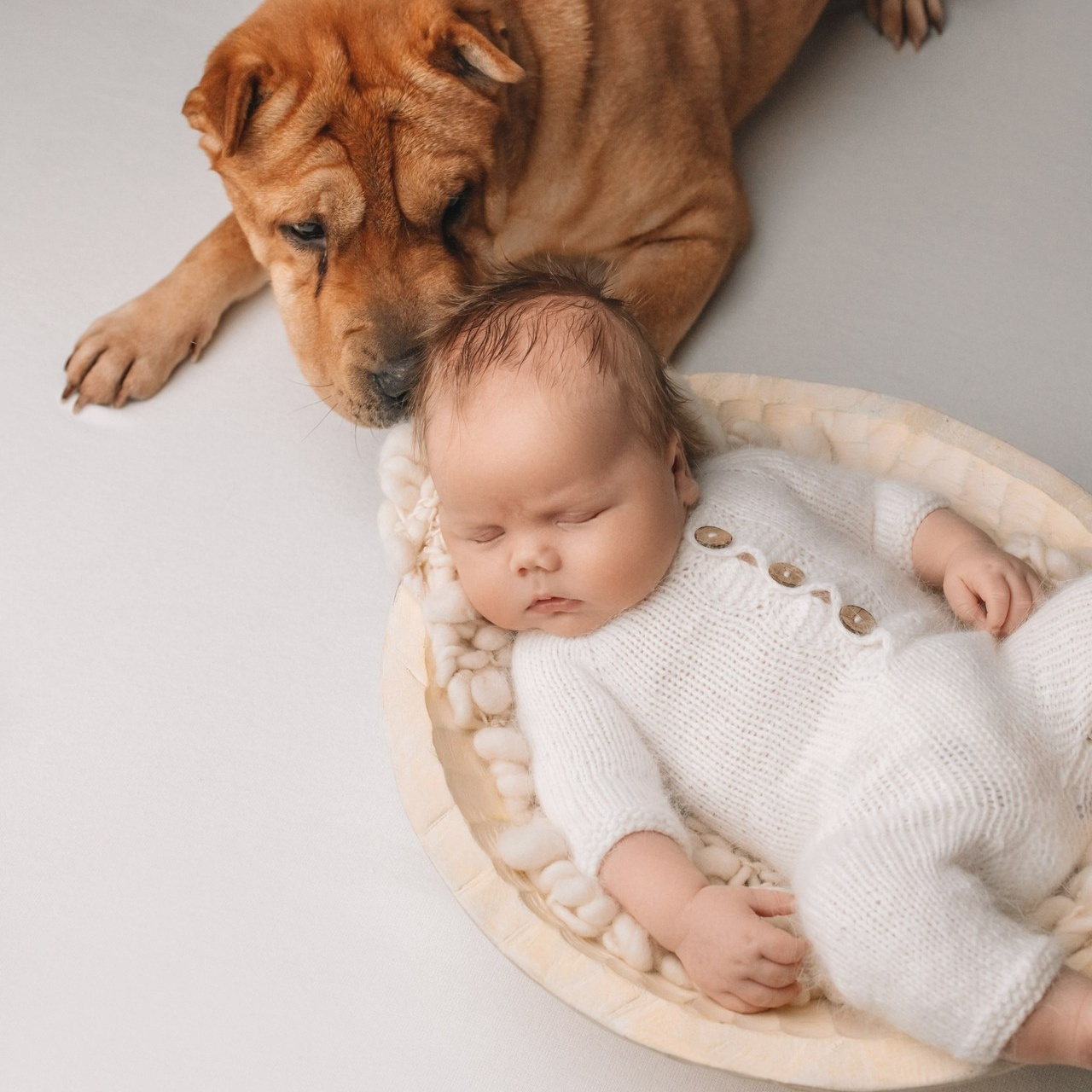 Отзывы. Фотограф беременности и новорождённых в Набережных Челнах