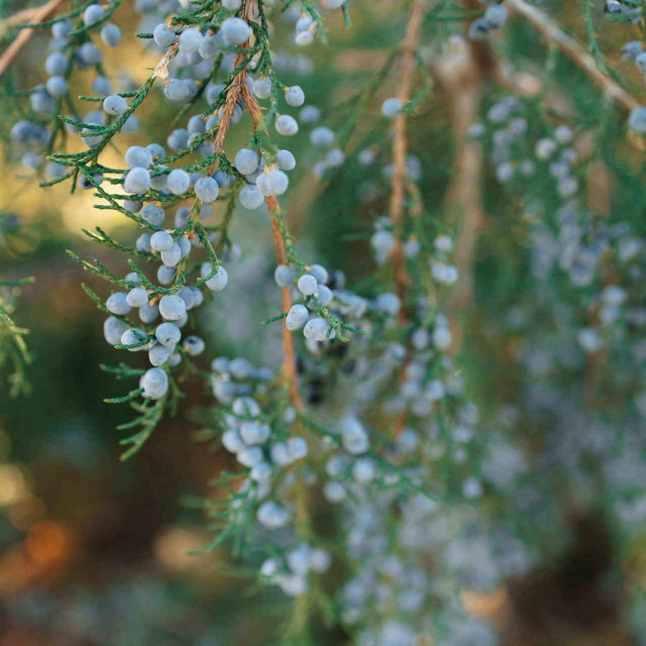 Отзывы. Фотограф беременности и новорождённых в Набережных Челнах