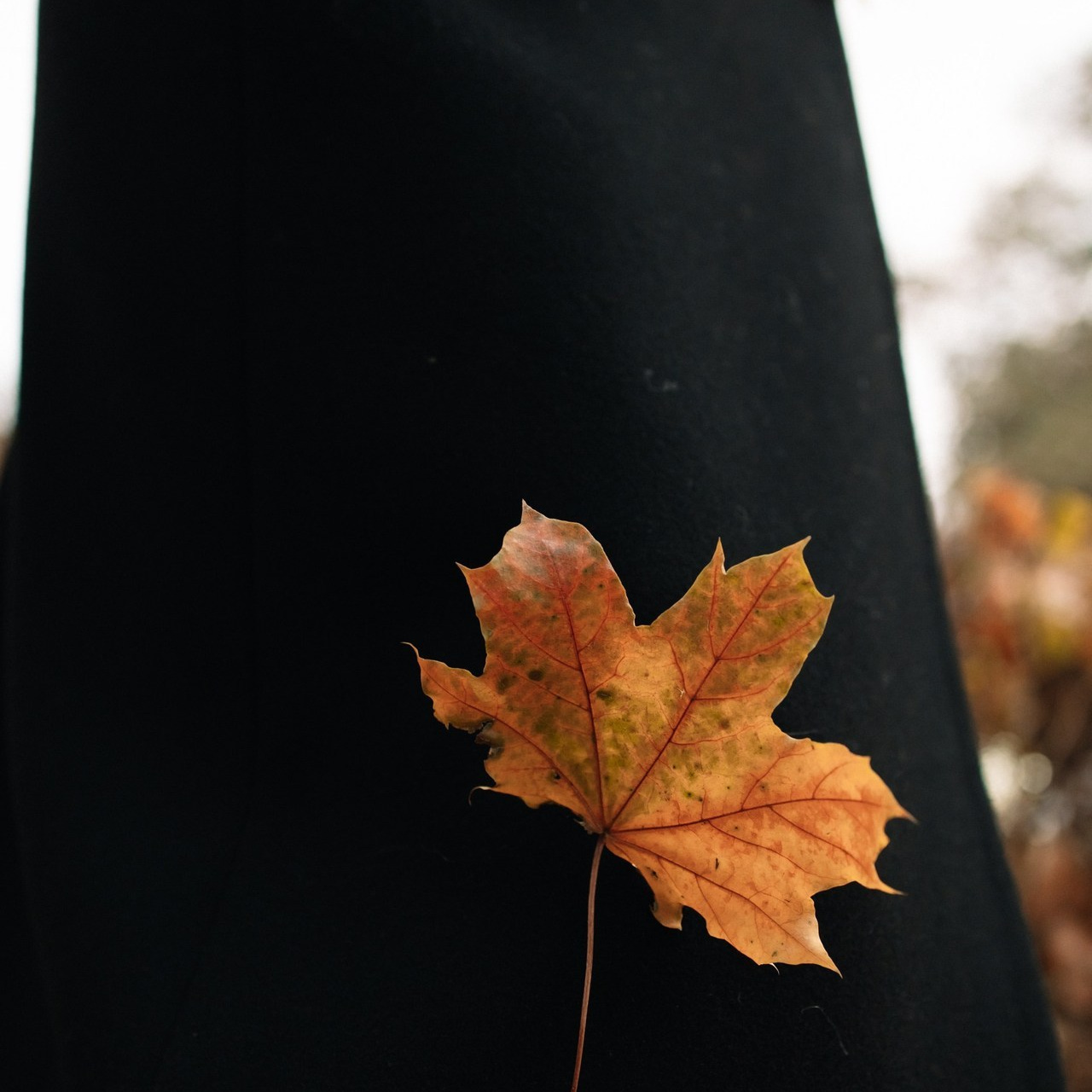 Отзывы. Фотограф беременности и новорождённых в Набережных Челнах