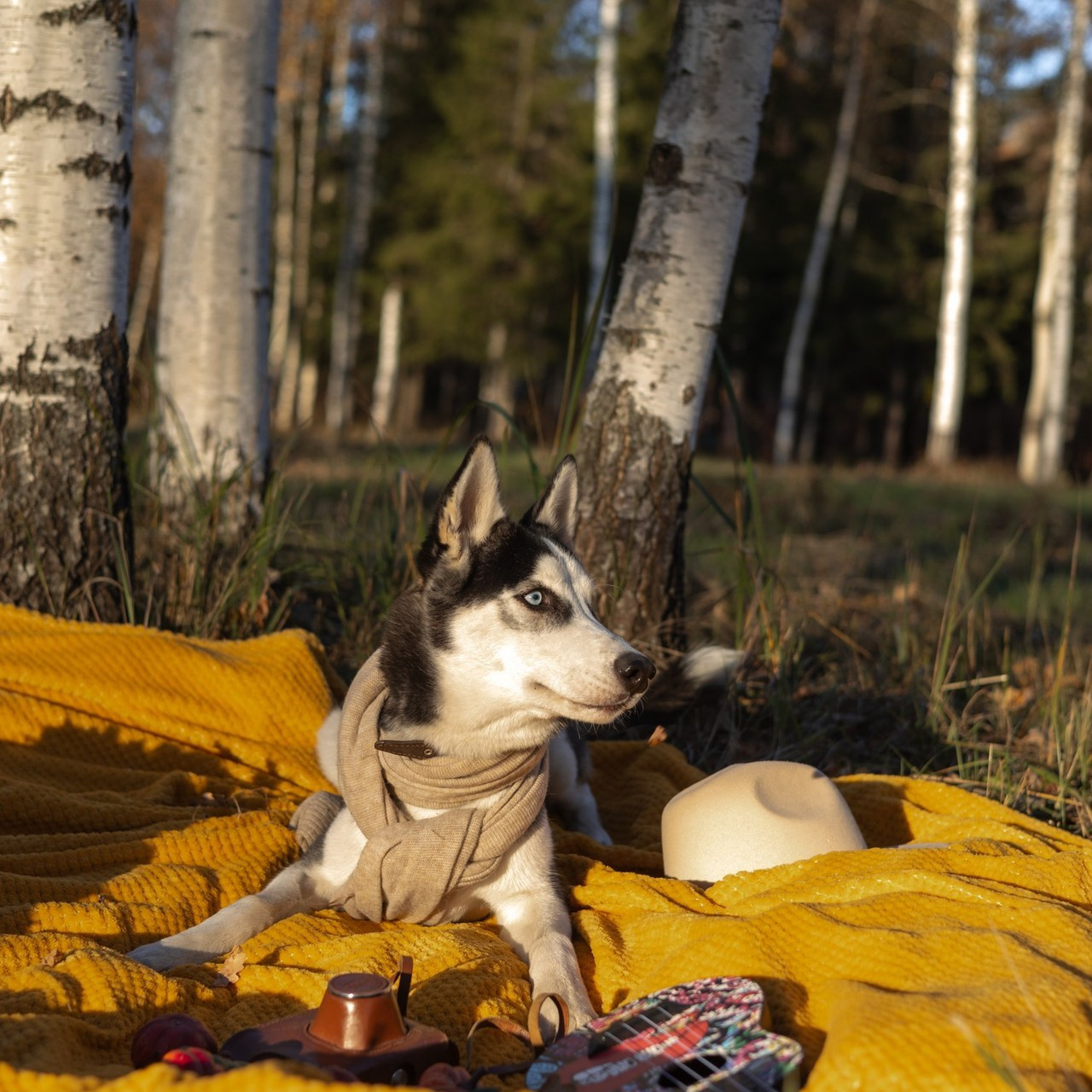 Отзывы. Семейный фотограф в Санкт-Петербурге Лера Романова