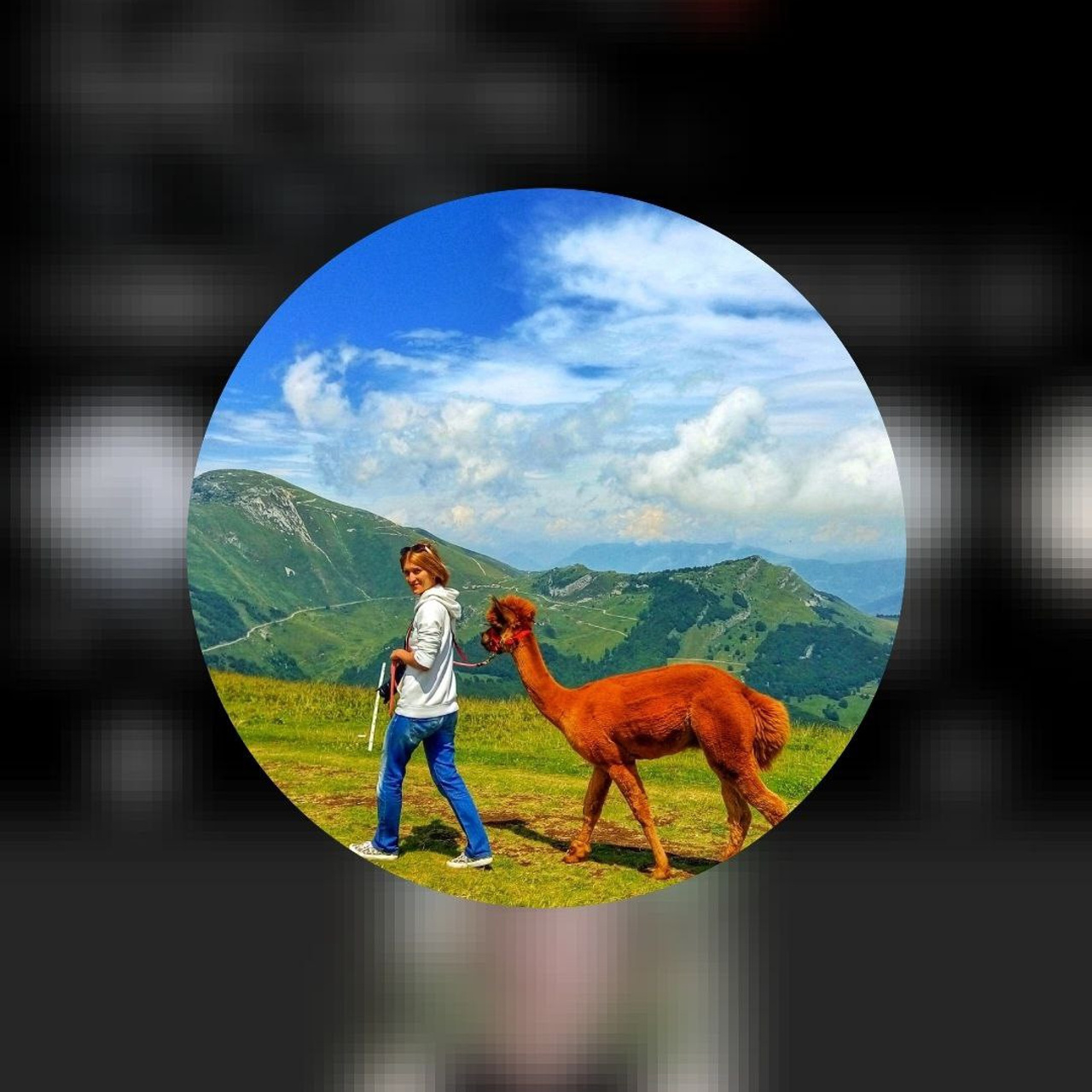 Отзывы. Фотограф в Краснодаре и Краснодарском крае