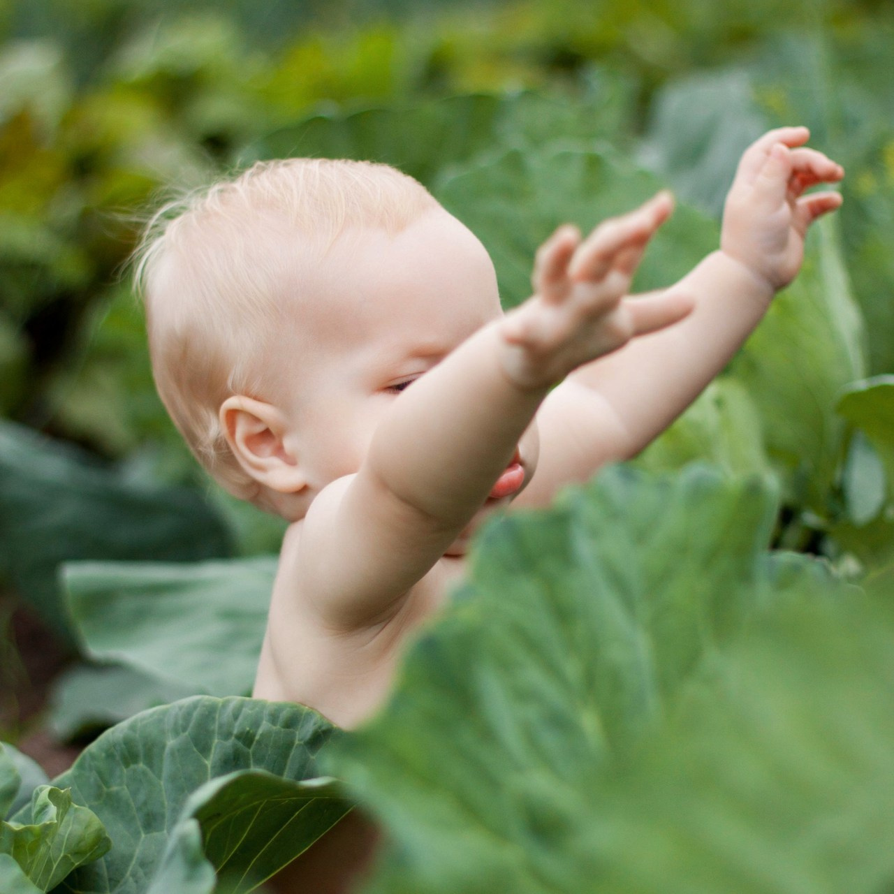Отзывы. Семейный фотограф в Красноярске Наталья Алина