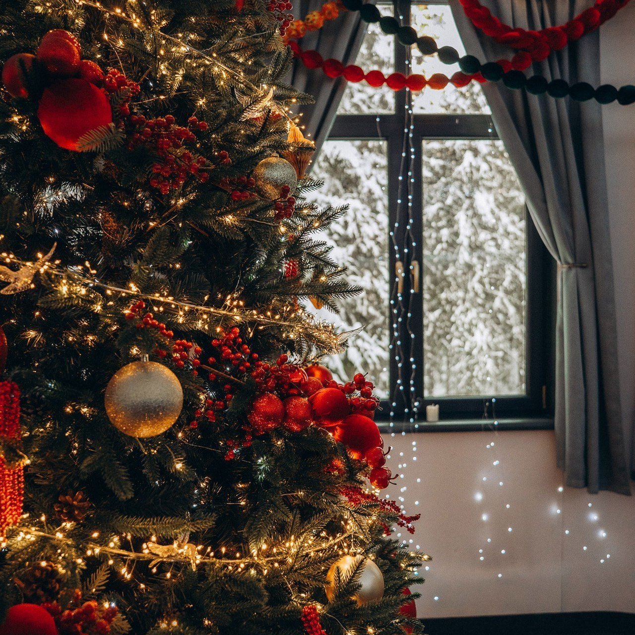 Отзывы. Фотограф Алексей Карпов