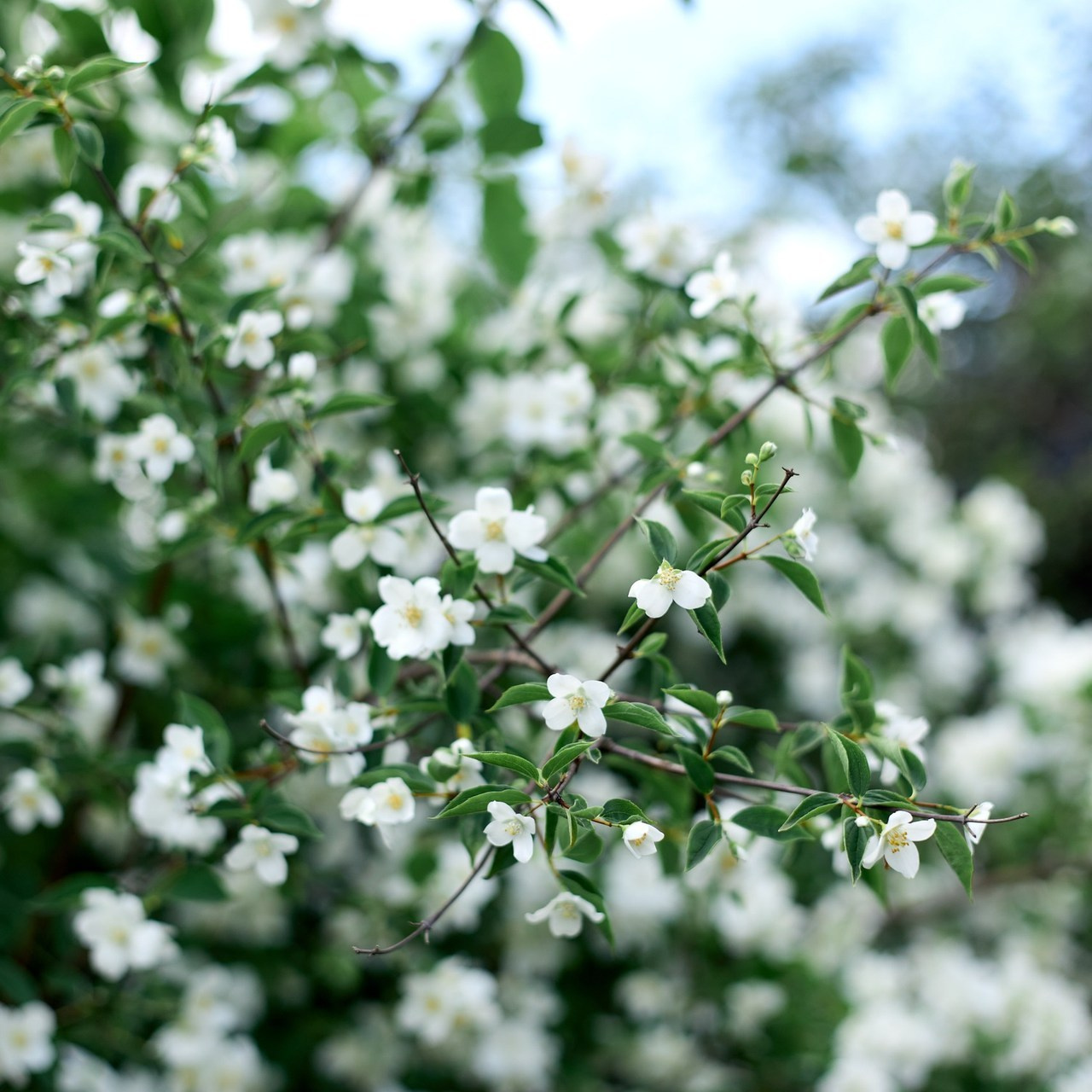 Отзывы. Свадебный и семейный фотограф в Иваново Ратушняк Денис