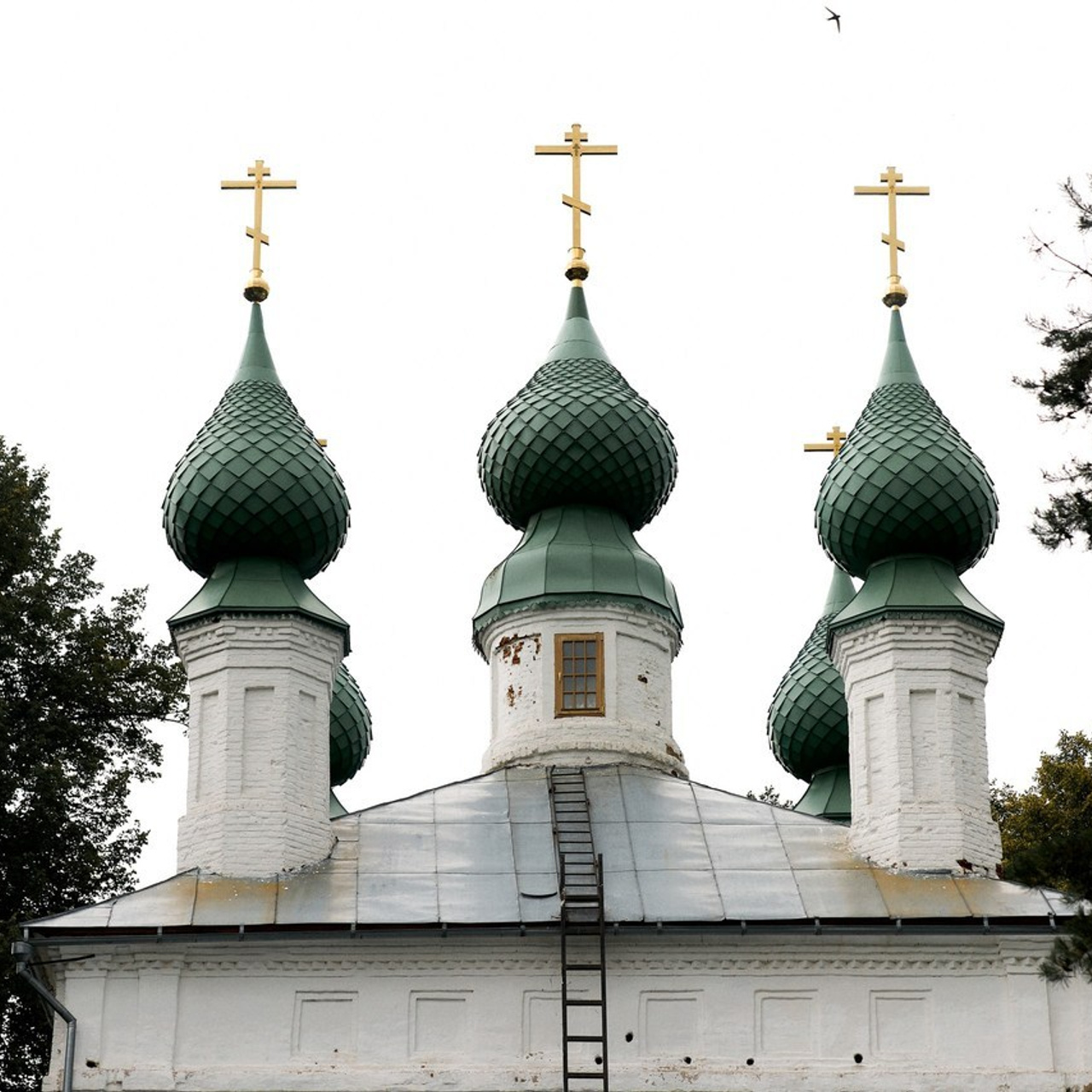 Отзывы. Свадебный и семейный фотограф в Иваново Ратушняк Денис