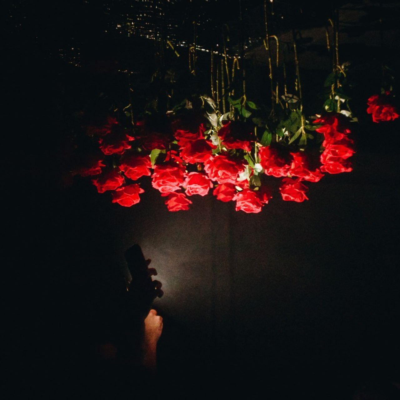 Отзывы. Darinishna Фэнтези-фотограф Хабаровск