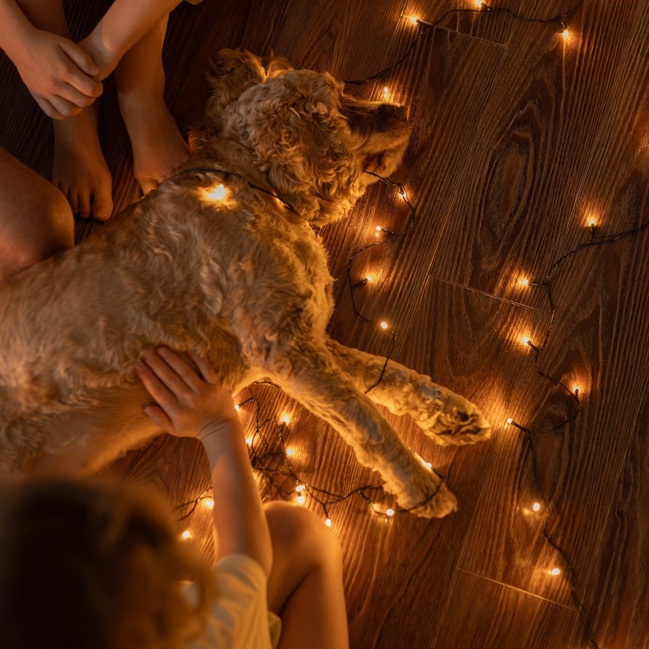 Отзывы. Фотограф Барнаул Новоалтайск