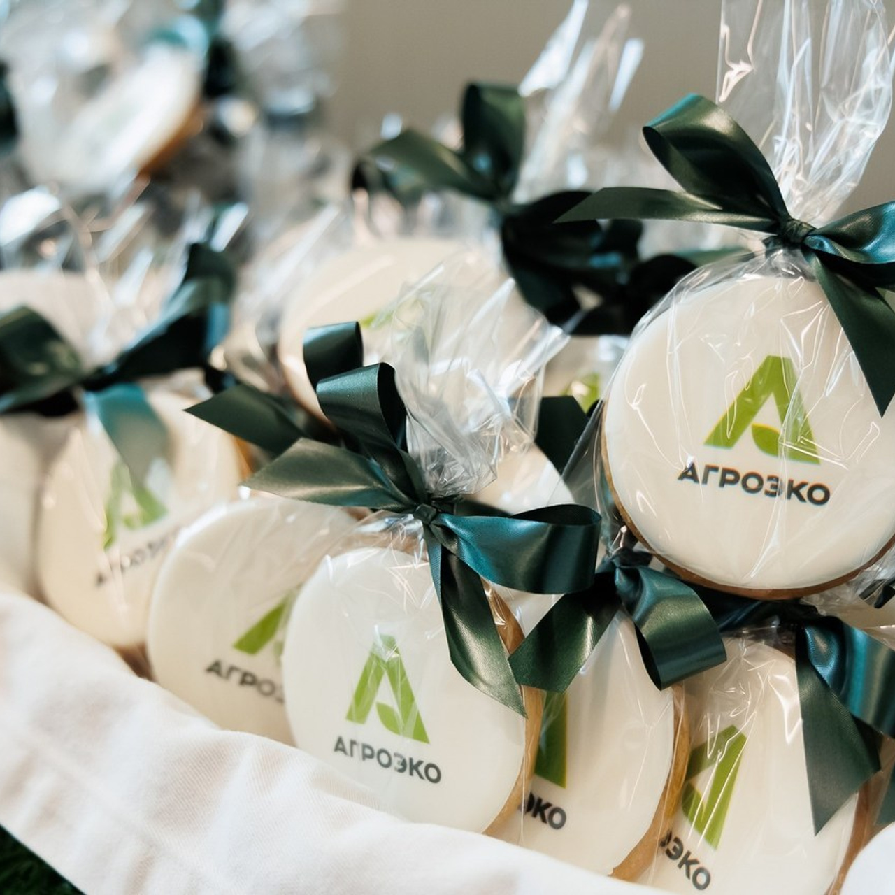 Отзывы. Репортажный фотограф в Москве