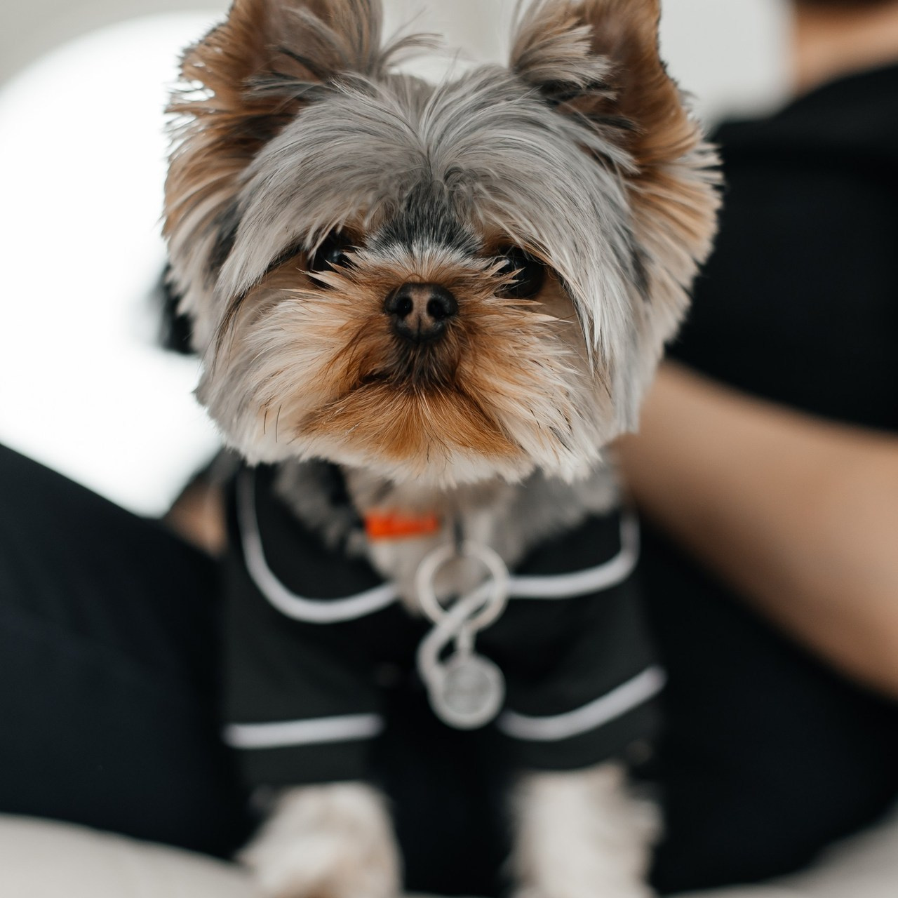 Отзывы. Свадебный и семейный фотограф