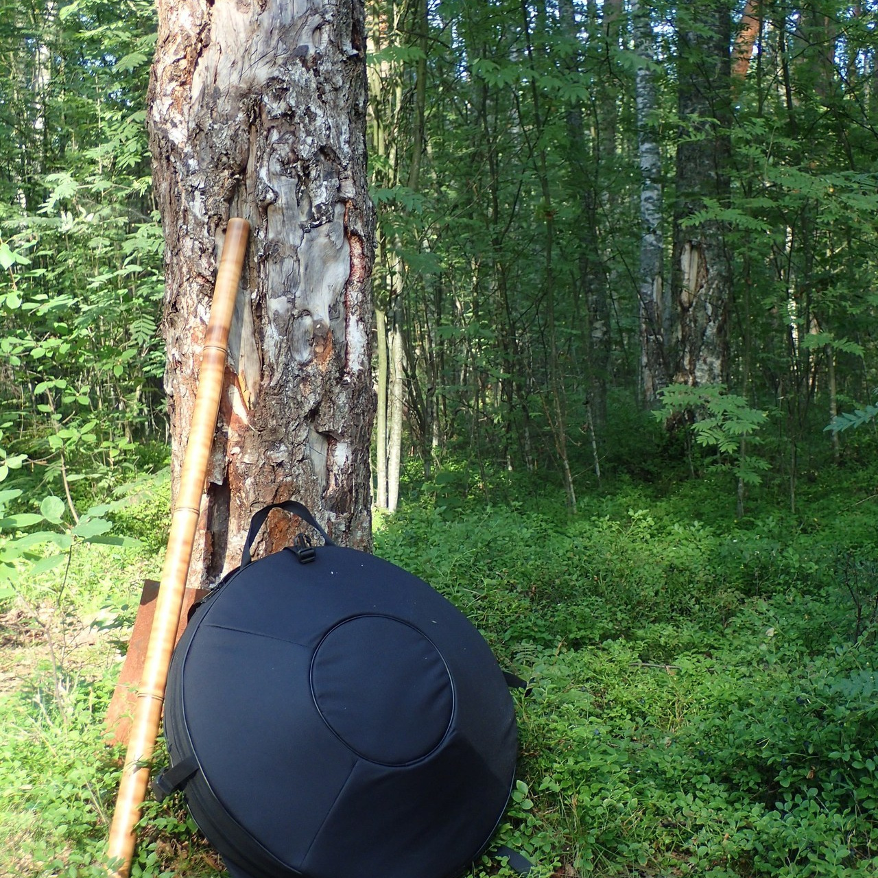 Отзывы. Профессиональный фотограф в Санкт-Петербурге Артём Булкин