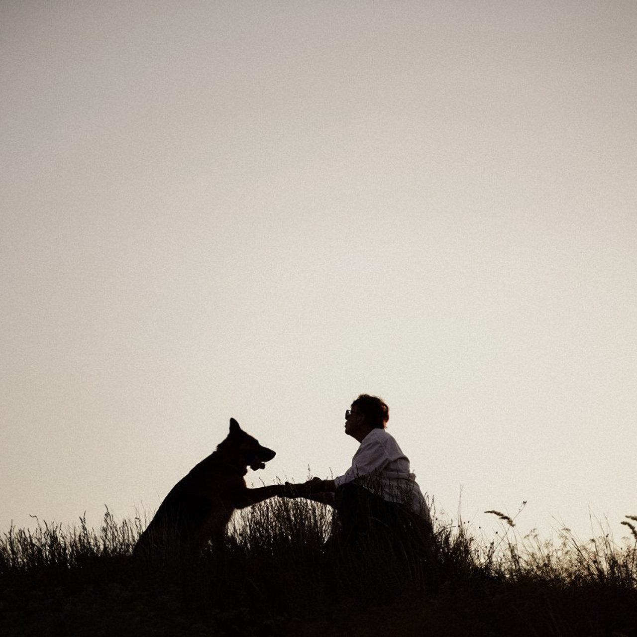 Отзывы. Фотограф в Ростове-на-Дону и Краснодаре Роман Кудрявцев
