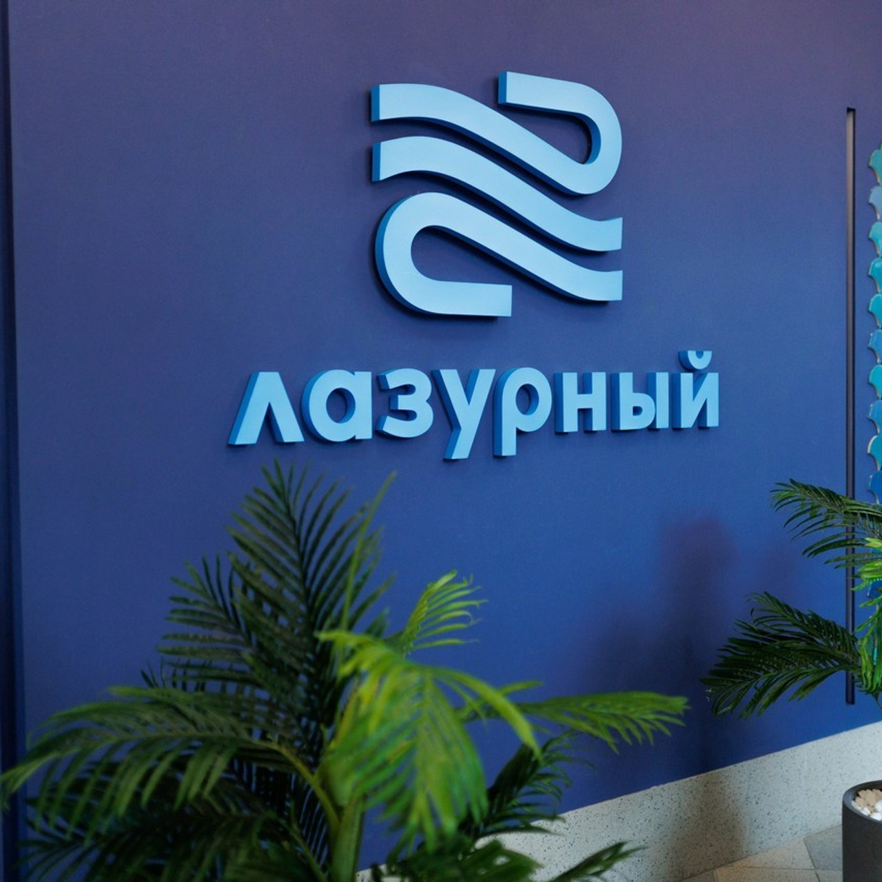 Отзывы. Фотограф Кемерово Иван Сапожников