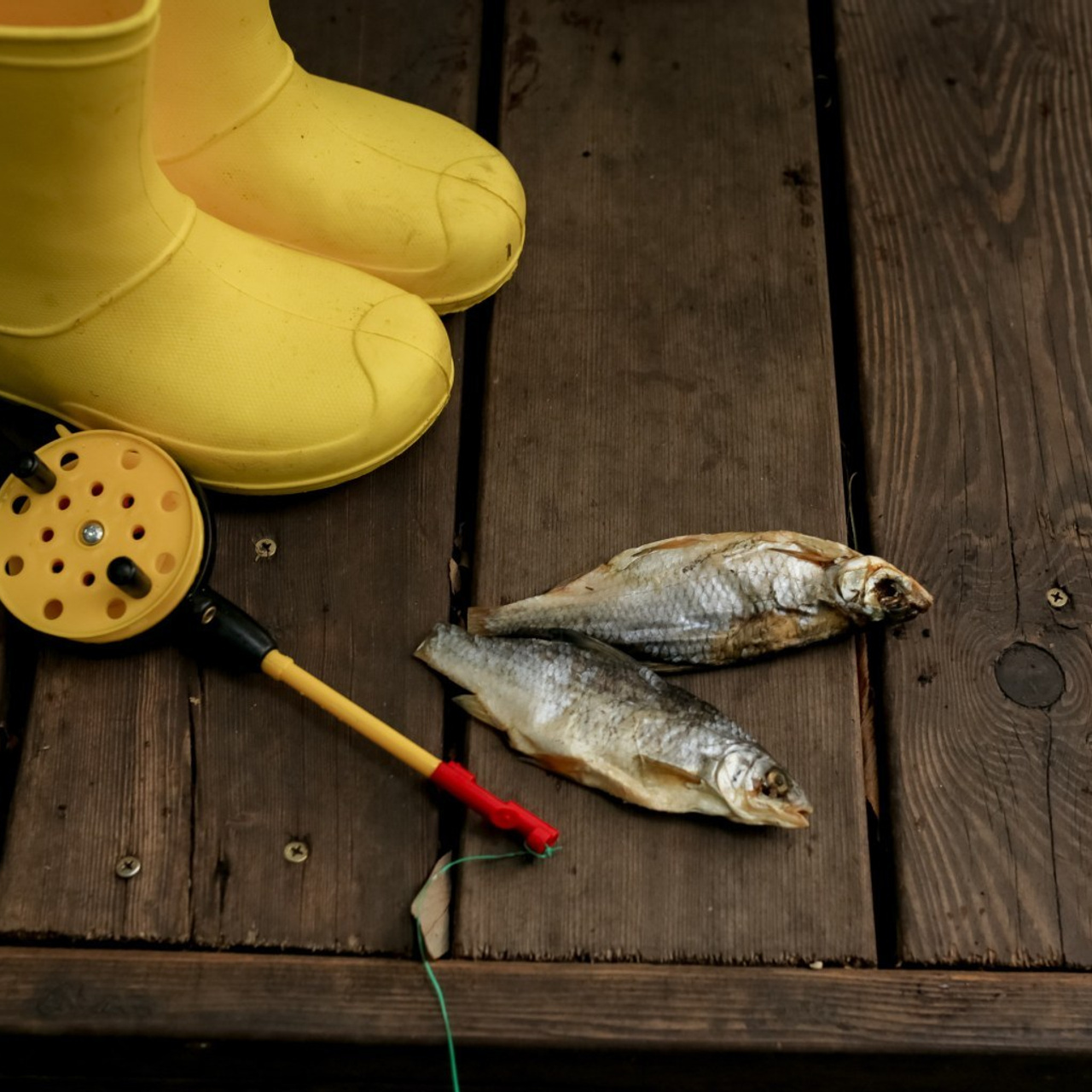 Отзывы. Женский фотограф в Москве Светлана Смагина