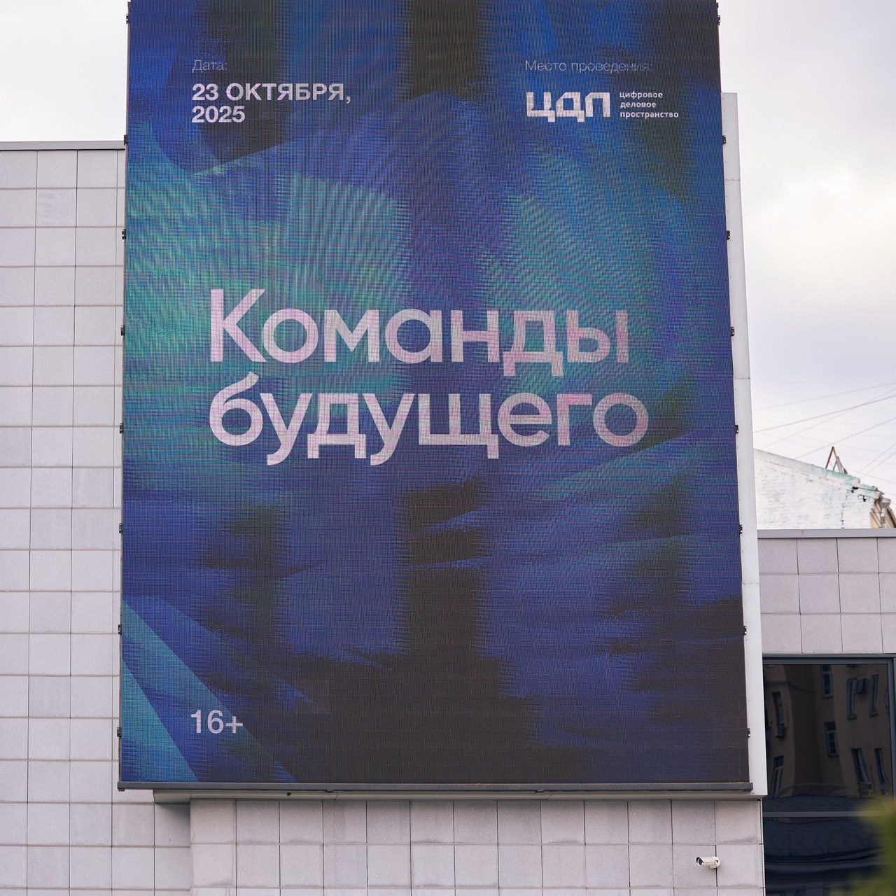 Отзывы. Фотограф Москва, Дима Пеллер