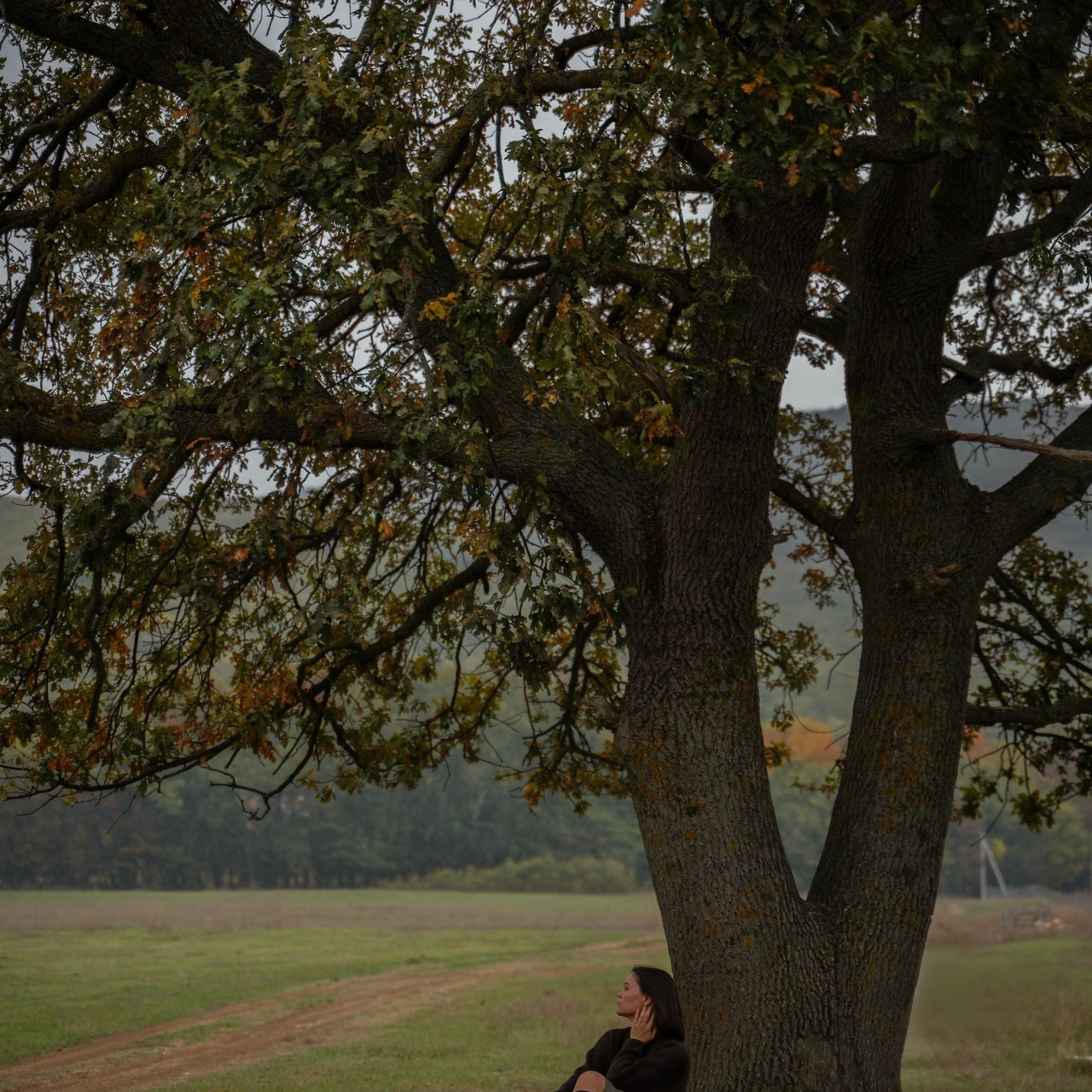 Отзывы. Ваш фотограф в Крыму