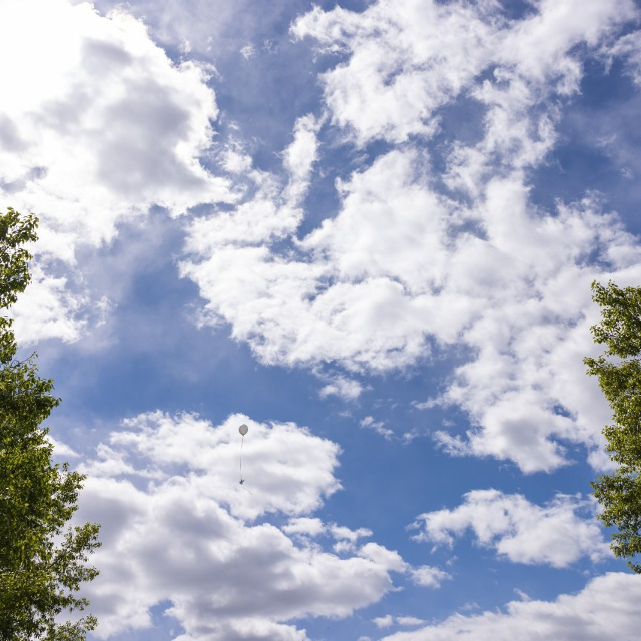 Отзывы. Свадебный и семейный фотограф в Екатеринбурге Бондаренко Евгений