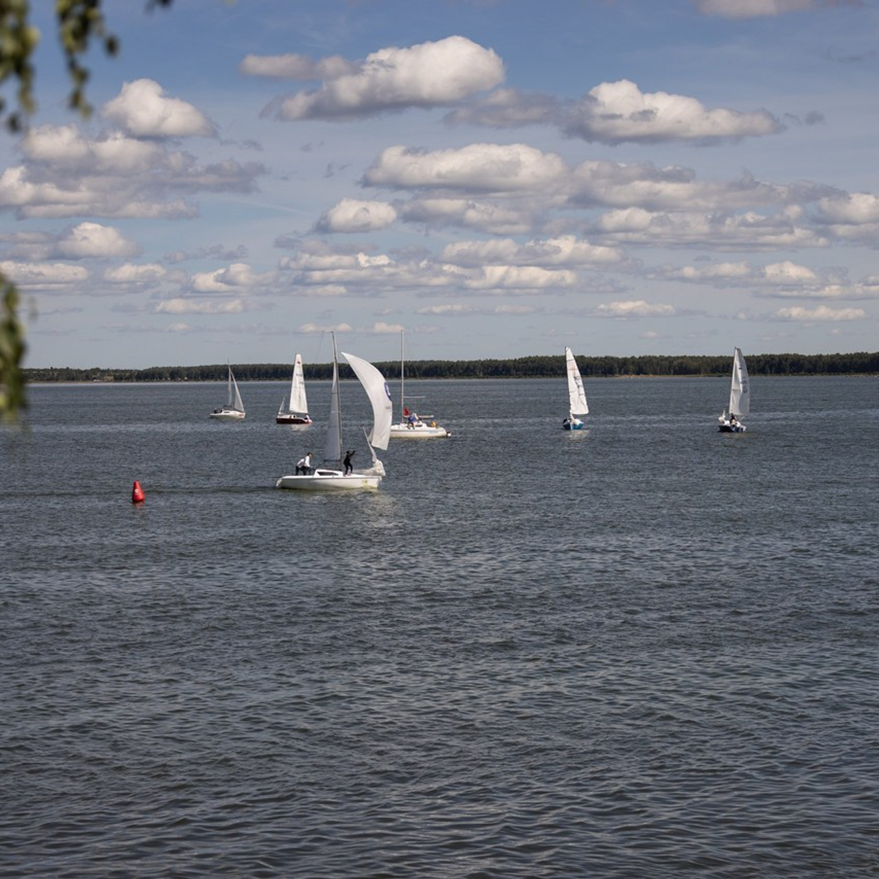 Отзывы. Свадебный и семейный фотограф в Екатеринбурге Бондаренко Евгений