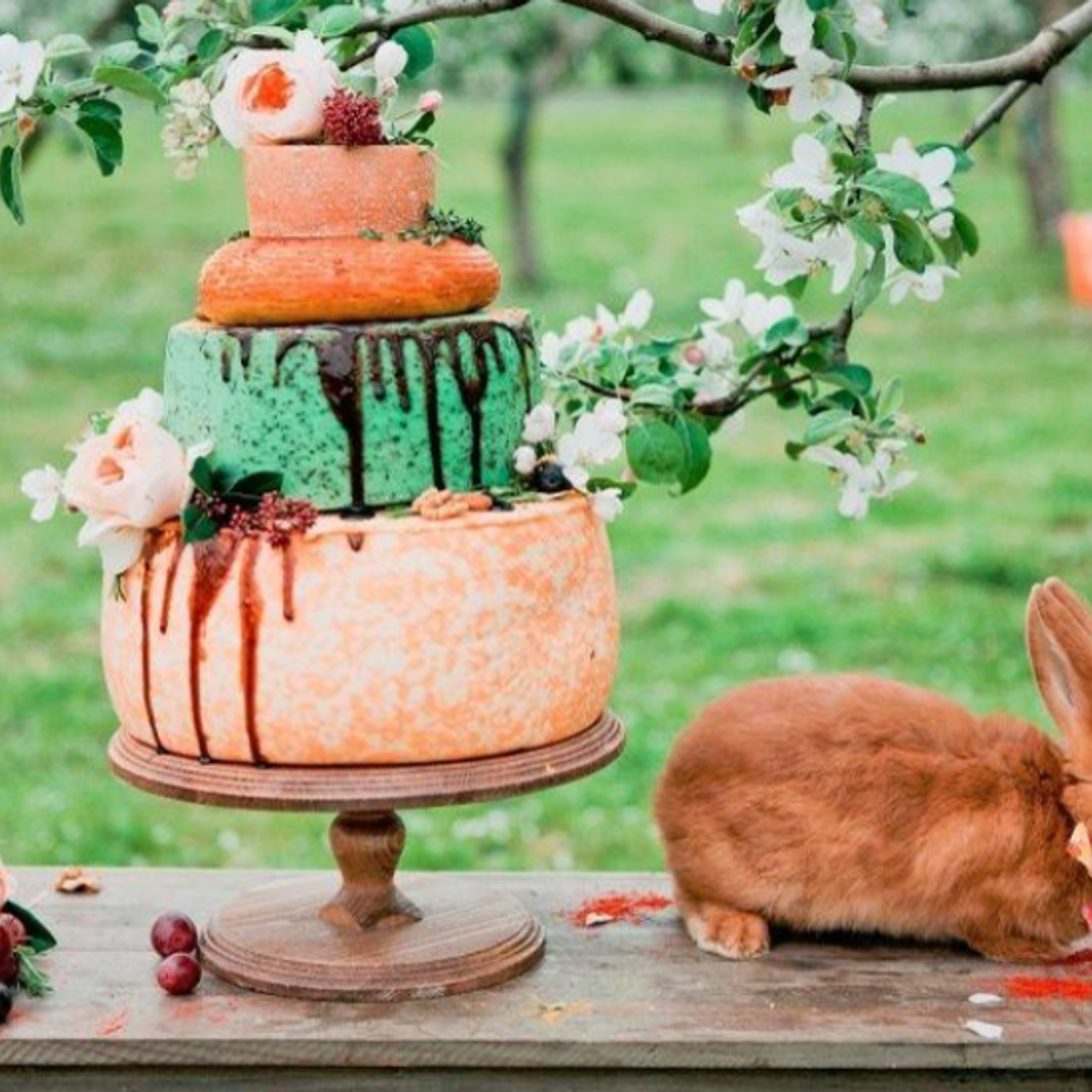 Подаем свадебный торт: 9 идей. Свадебный фотограф Евгения Фролова г. Каменск-Шахтинский, Донецк, Ростов