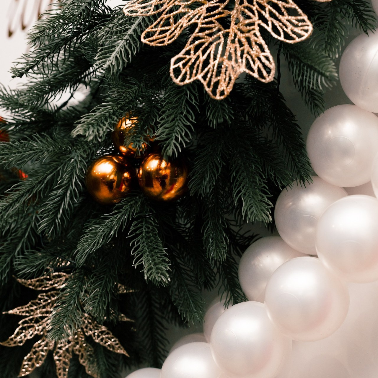 Отзывы. Тиунова Любовь — контент-фотограф