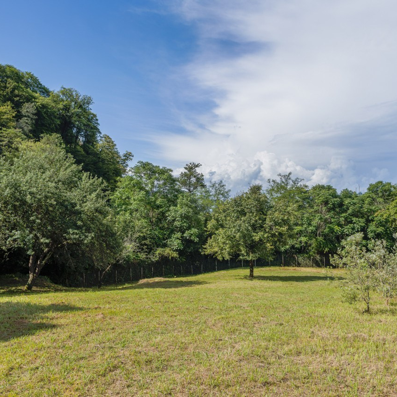 Отзывы. Интерьерный фотограф в Сочи Локтева Светлана