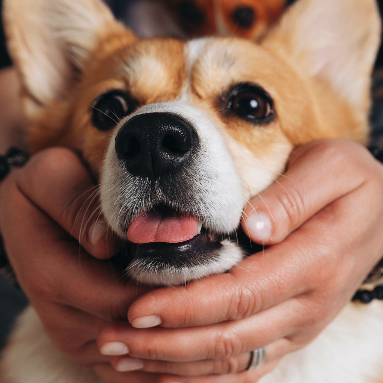 Отзывы. Фотограф Санкт-Петербург Светлана Вежновец
