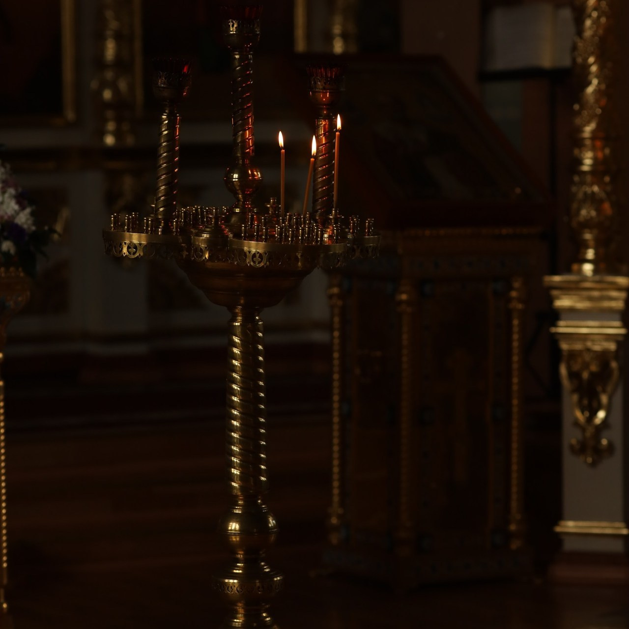 Отзывы. Фотограф новорожденных Оренбург Оксана Трофимова