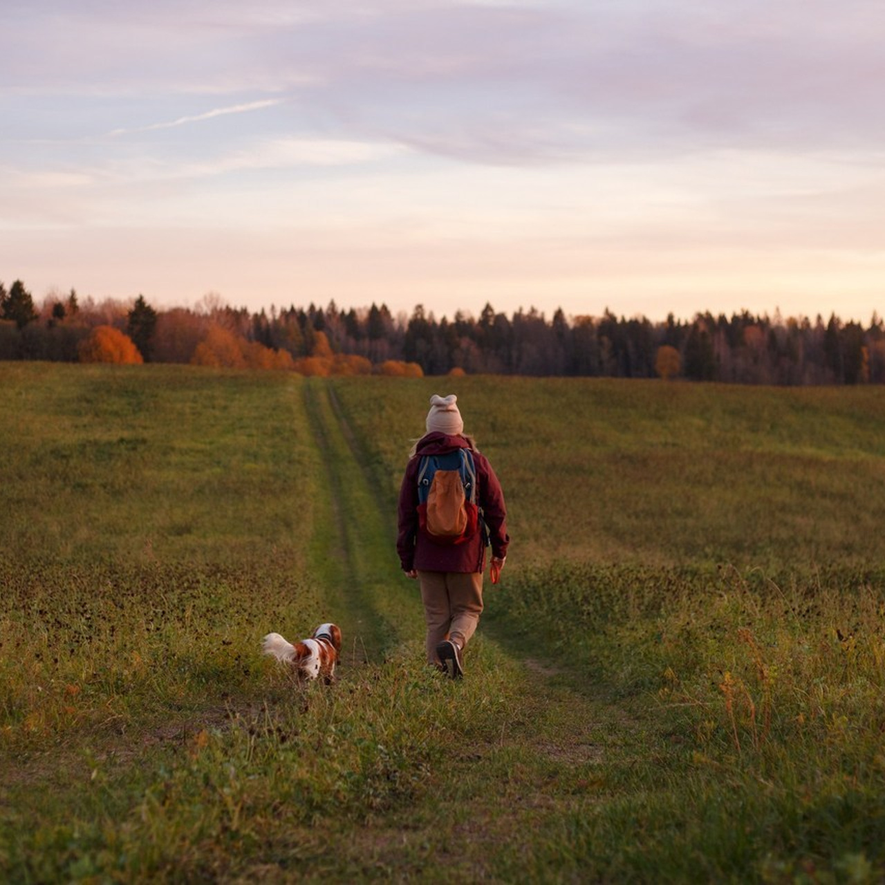 Отзывы. Фотограф-анималист Наталия Чистюхина в г. Сосновый Бор и ЛО