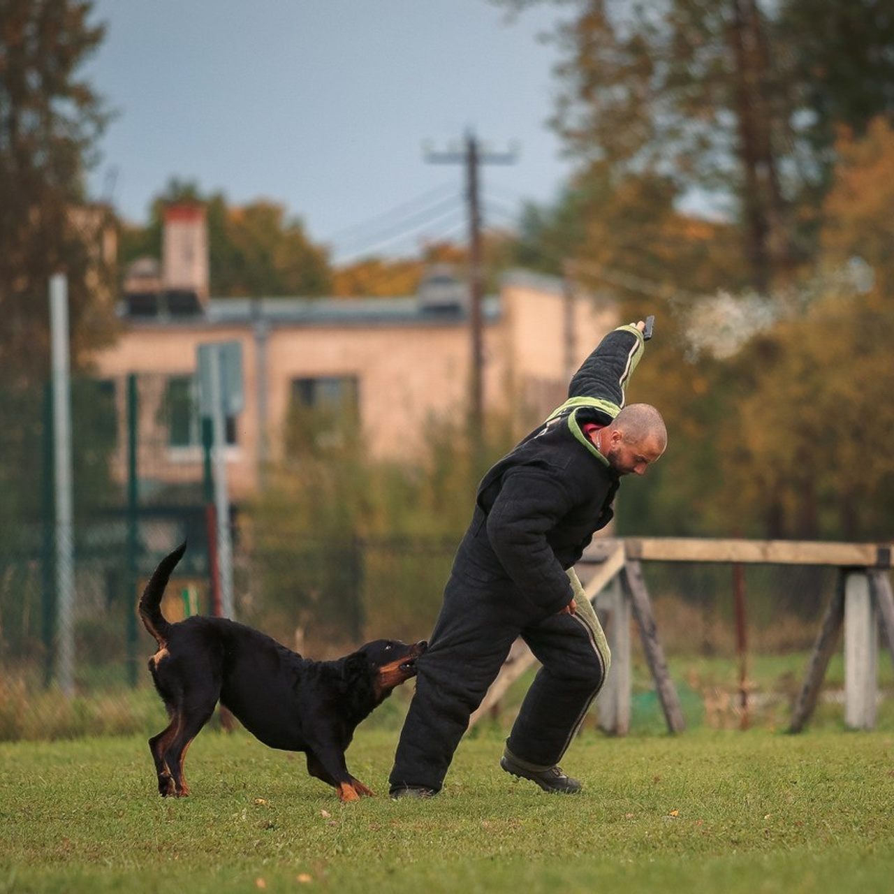 Отзывы. Фотограф-анималист Наталия Чистюхина в г. Сосновый Бор и ЛО