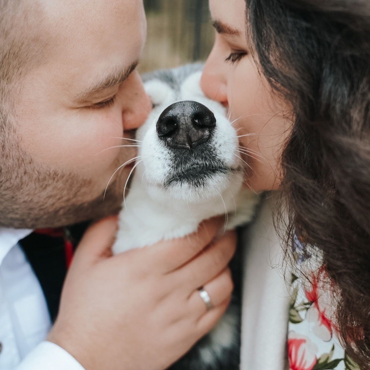 Елена & Илья & Нюша