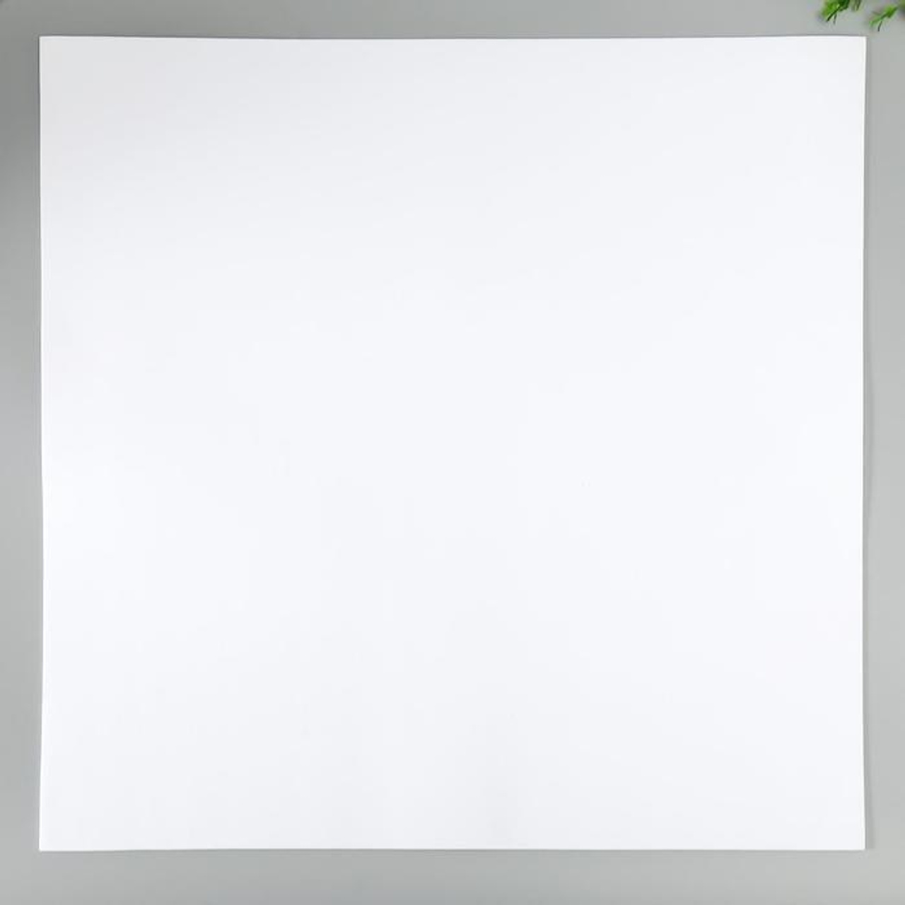 Отзывы. Выпускные альбомы в Москве и Московской области