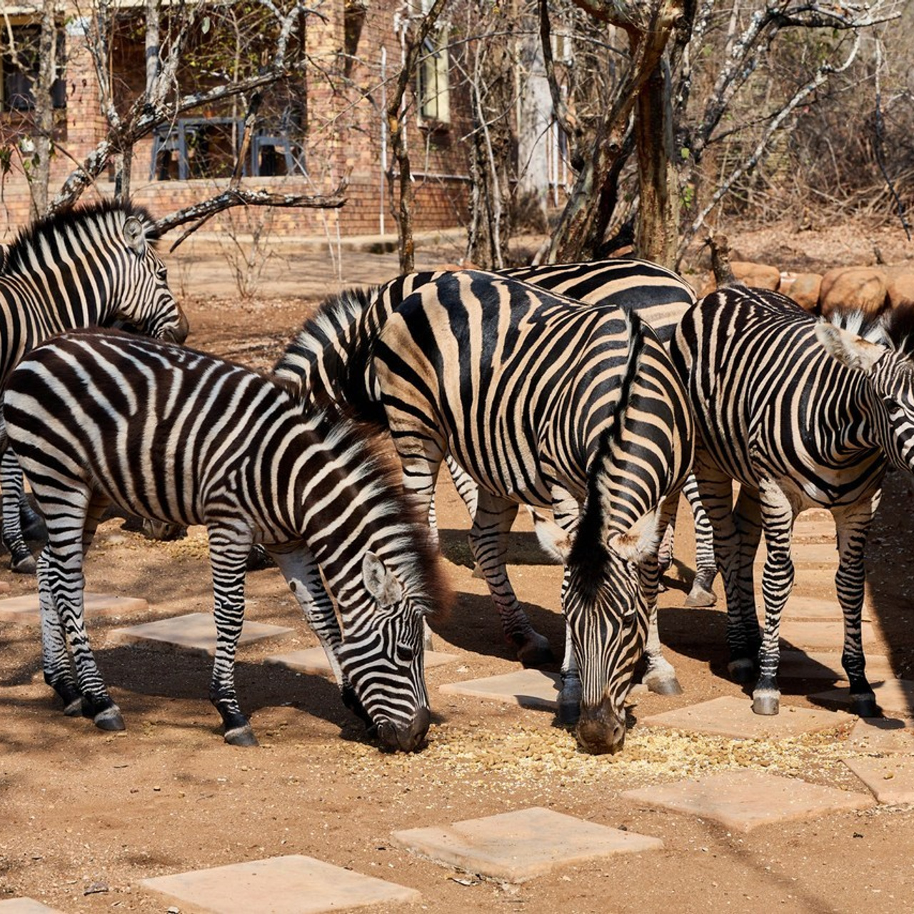 Отзывы. Выведите свои товары на новый уровень с профессиональной предметной фотографией. Предметный фотограф Юлия Кравченко