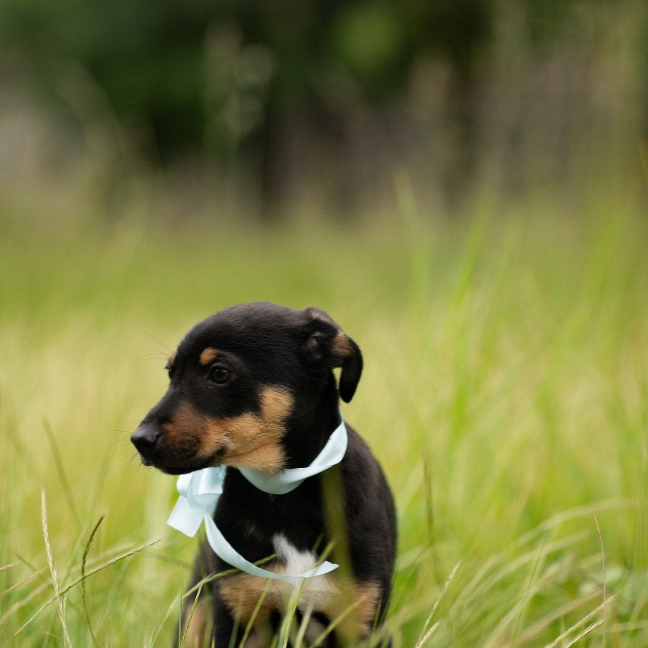 Отзывы. ФОТОПРОГУЛКИ и ЭКСПРЕСС ФОТОСЕССИИ