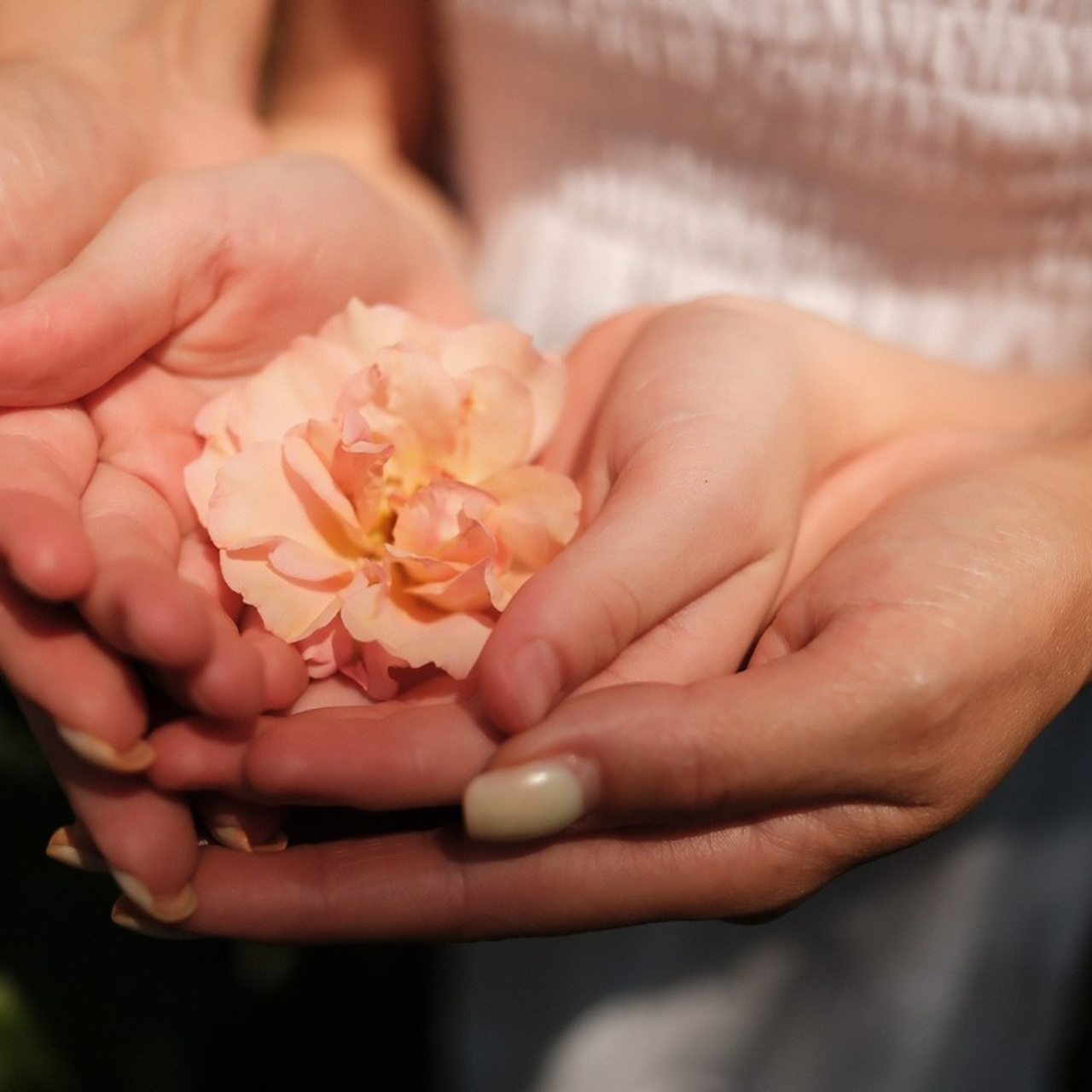 Отзывы. ФОТОПРОГУЛКИ и ЭКСПРЕСС ФОТОСЕССИИ