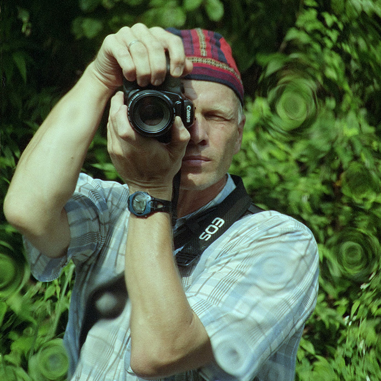 Testimonials. Atmospheric landscapes, horses, butterfies. Alexander Kozhukhov