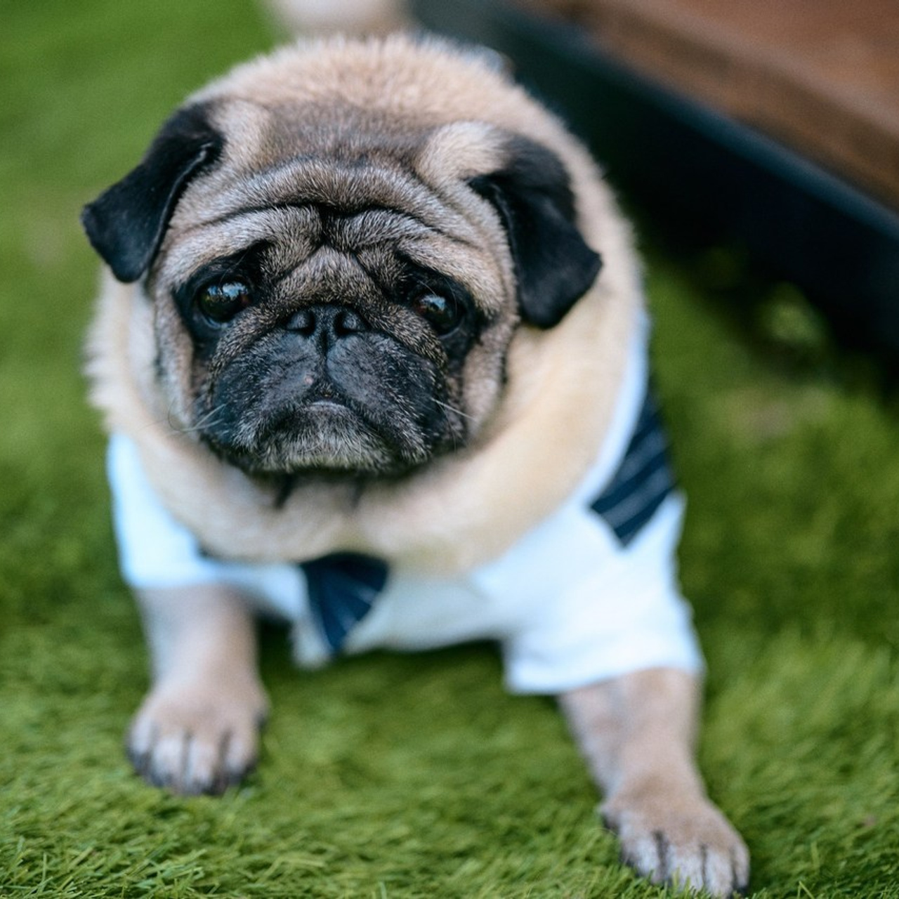 Отзывы. Портретный фотограф в Самаре Кристина Тихонова