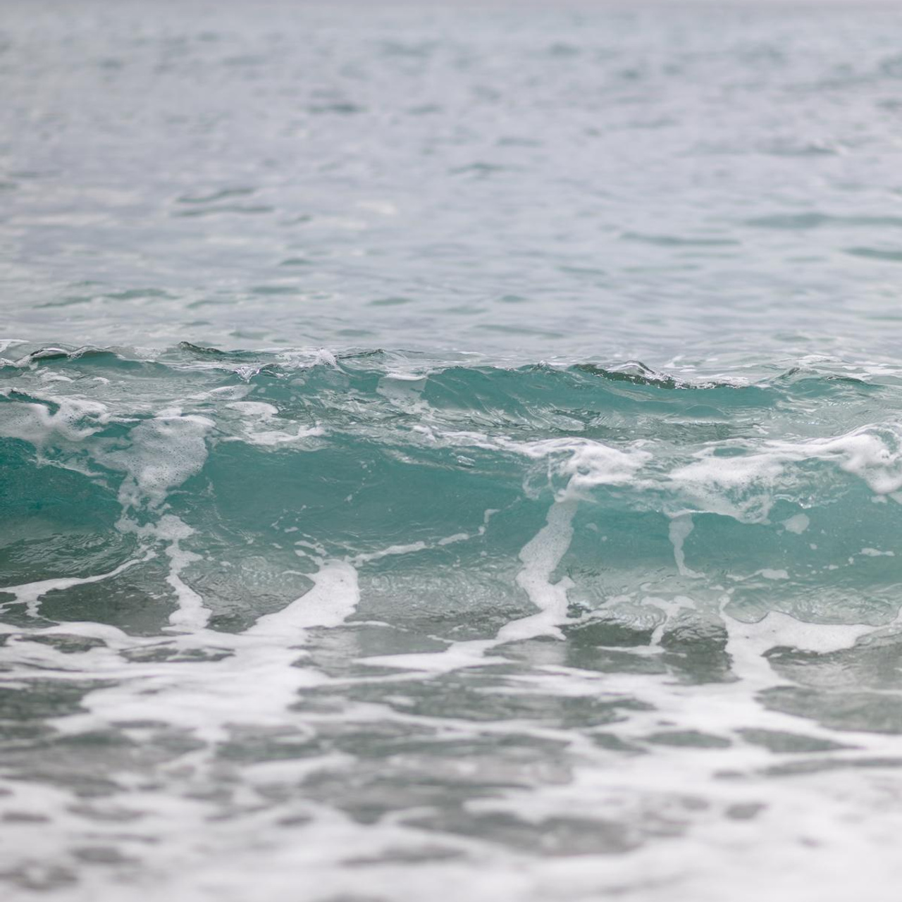 Цветущий Крым 2023. Фототуры, обучение, фотограф Анастасия Забелина в Крыму и Севастополе