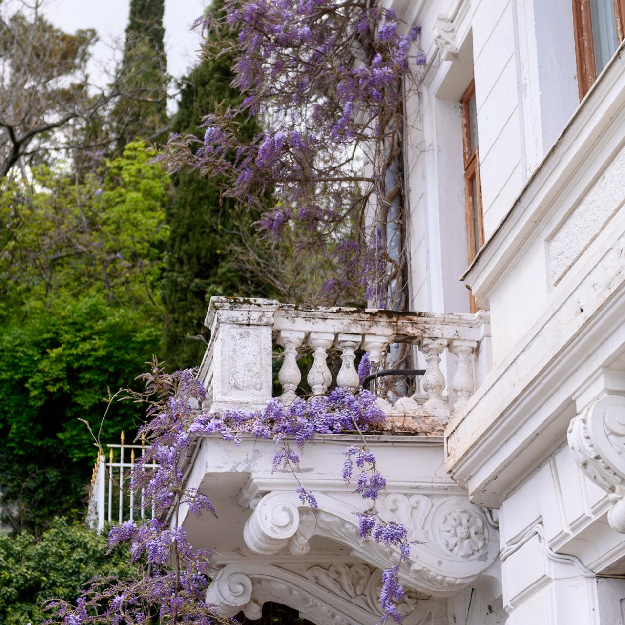 Цветущий Крым 2023. Фототуры, обучение, фотограф Анастасия Забелина в Крыму и Севастополе