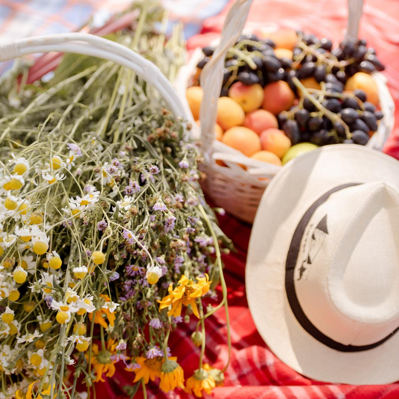 Июльская Тула: мои герои из сказки. Фототуры, обучение, фотограф Анастасия Забелина в Крыму и Севастополе