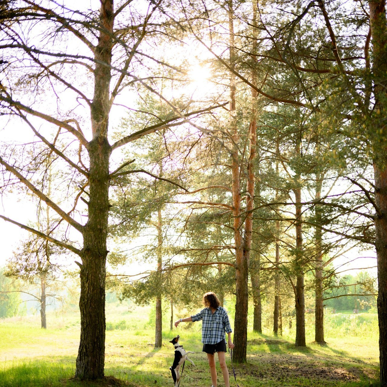 Отзывы о фотосессиях, обучении и путешествиях. Фототуры, обучение, фотограф Анастасия Забелина в Крыму и Севастополе