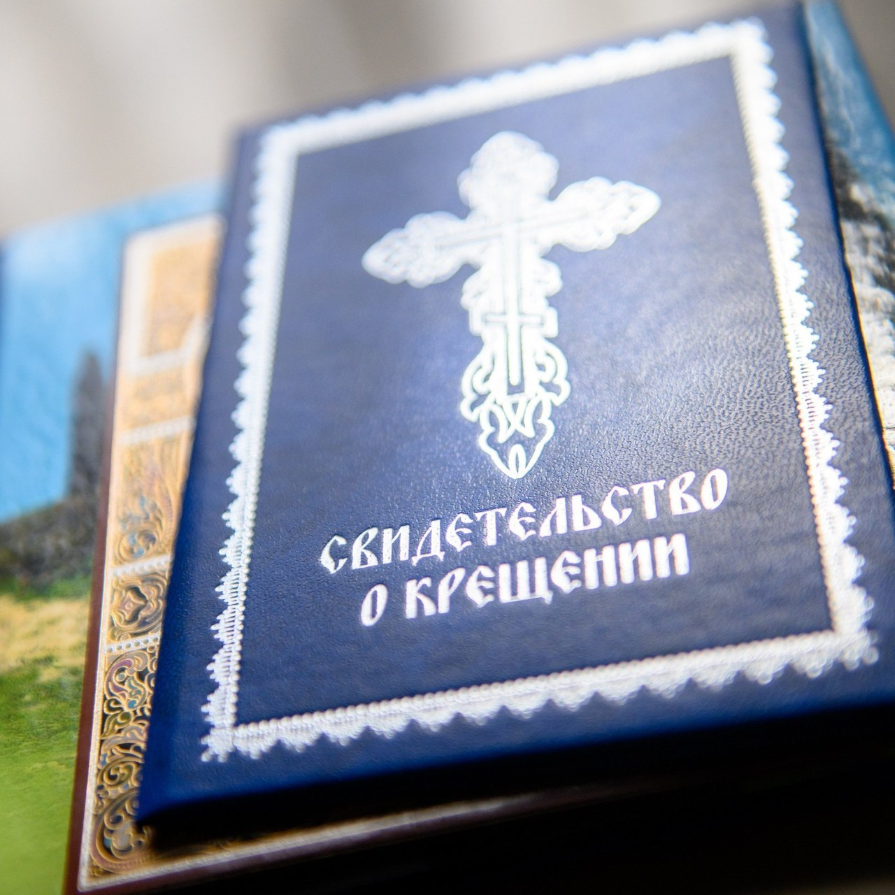 Отзывы о фотосессиях, обучении и путешествиях. Фототуры, обучение, фотограф Анастасия Забелина в Крыму и Севастополе