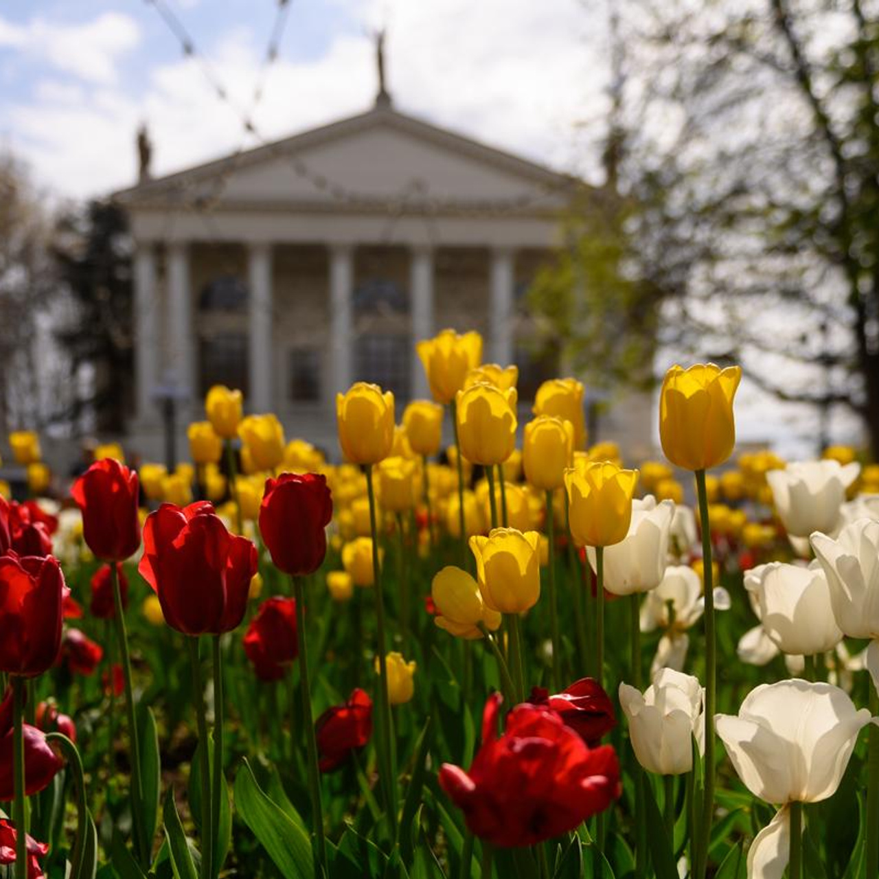 Цветущий Крым 2023. Фототуры, обучение, фотограф Анастасия Забелина в Крыму и Севастополе