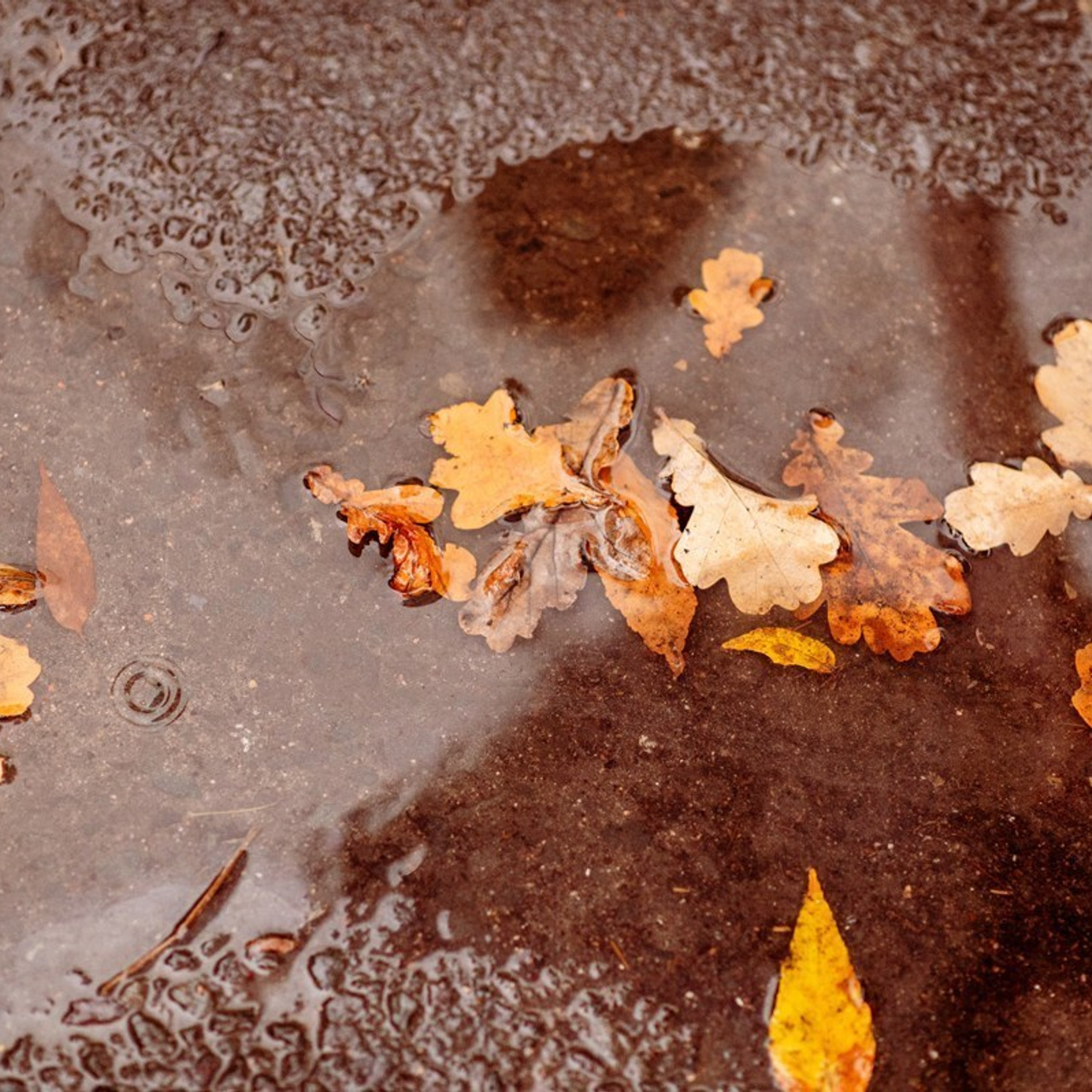 Отзывы о фотосессиях, обучении и путешествиях. Фототуры, обучение, фотограф Анастасия Забелина в Крыму и Севастополе