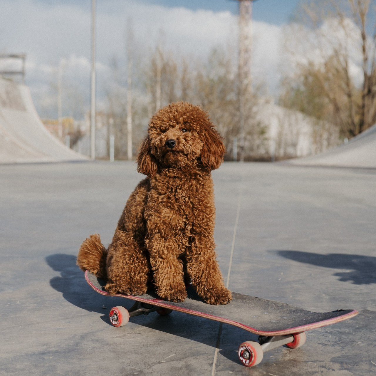 Отзывы. Фотограф Ижевск Даша Богомолова