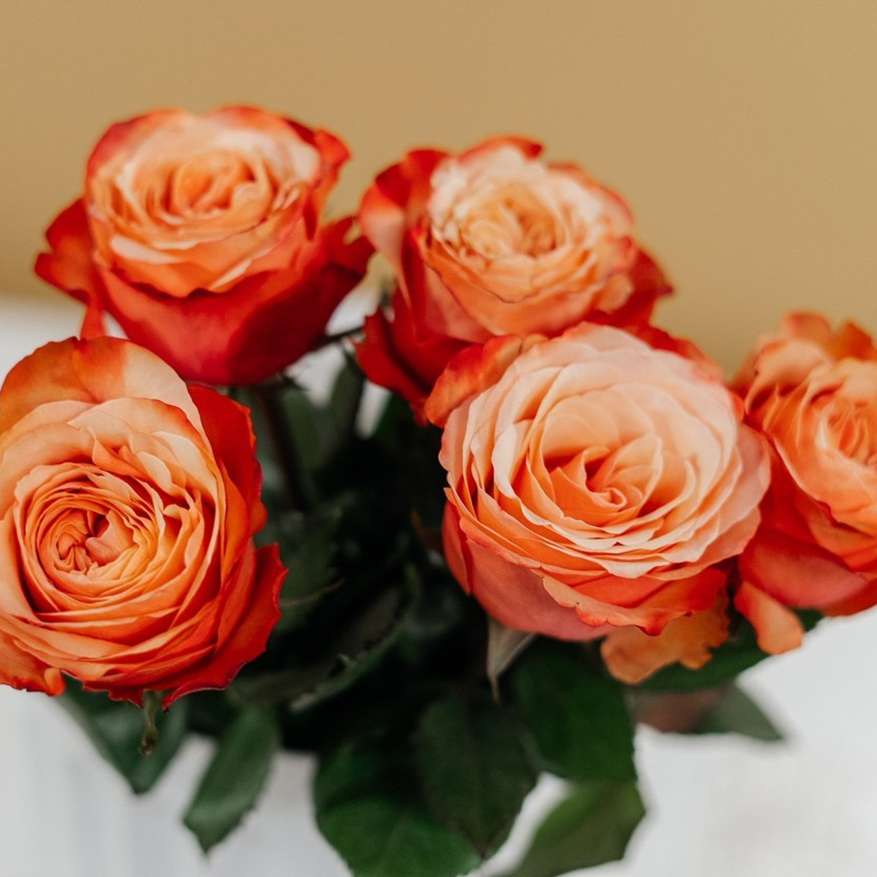 Отзывы. Фотограф Москва Екатерина Бондаренко