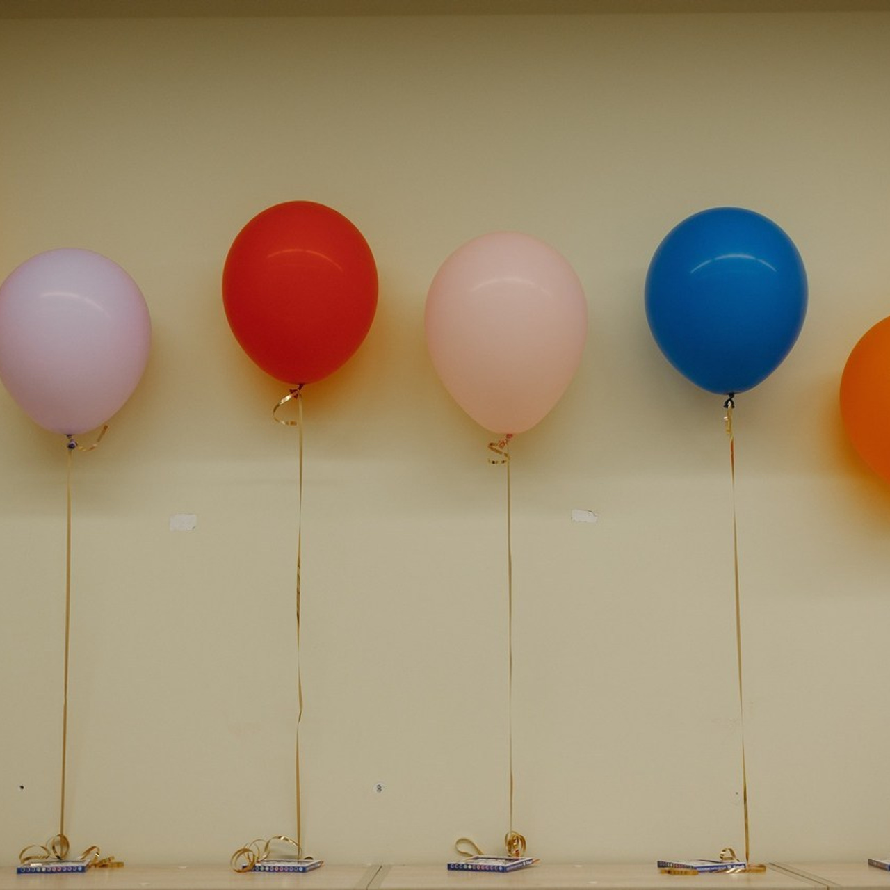 Отзывы. Семейный фотограф в Москве Бунина Маргарита